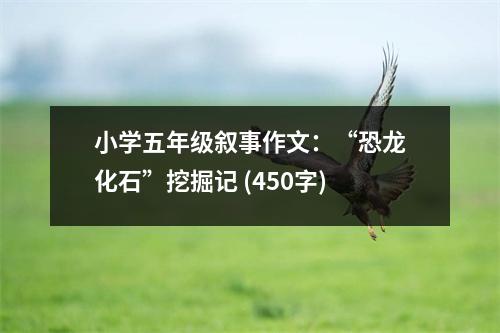小學五年級敘事作文：“恐龍化石”挖掘記 (450字)