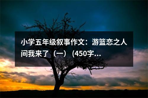 小學(xué)五年級敘事作文：游籃戀之人間我來了（一） (450字)