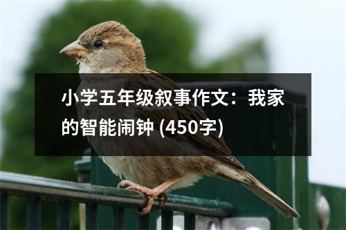 小學五年級敘事作文：我家的智能鬧鐘 (450字)