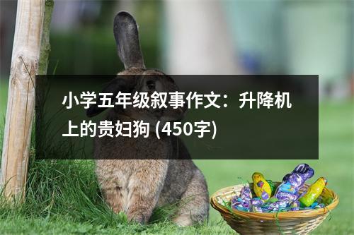 小學五年級敘事作文：升降機上的貴婦狗 (450字)