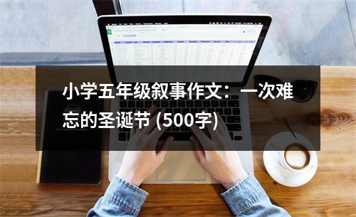 小學五年級敘事作文：一次難忘的圣誕節(jié) (500字)