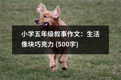 小學(xué)五年級(jí)敘事作文：生活像塊巧克力 (500字)