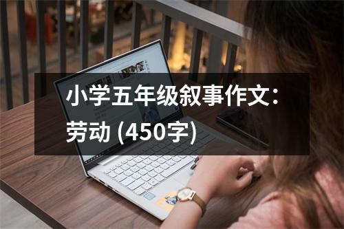 小學(xué)五年級(jí)敘事作文：勞動(dòng) (450字)