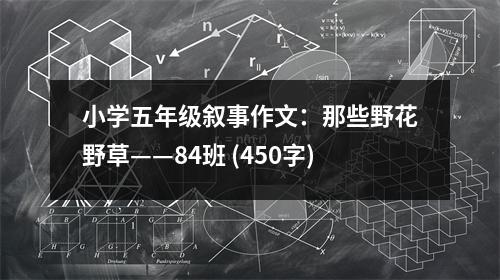 小學(xué)五年級(jí)敘事作文：那些野花野草——84班 (450字)