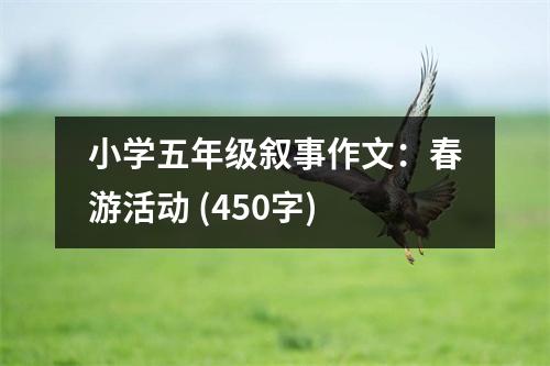 小學(xué)五年級(jí)敘事作文：春游活動(dòng) (450字)