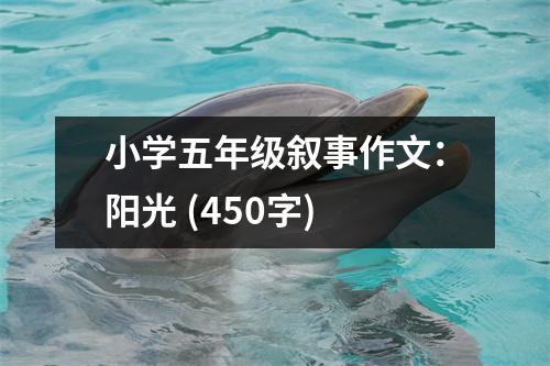 小學(xué)五年級(jí)敘事作文：陽光 (450字)