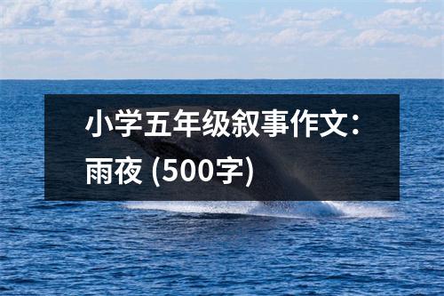 小學(xué)五年級(jí)敘事作文：雨夜 (500字)