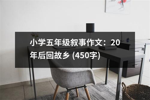 小學(xué)五年級(jí)敘事作文：20年后回故鄉(xiāng) (450字)