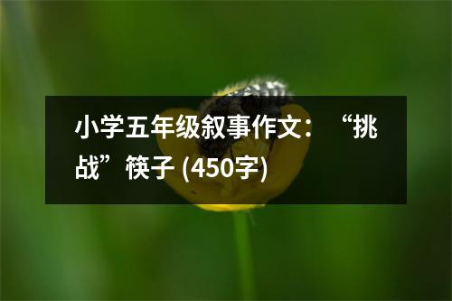 小學(xué)五年級(jí)敘事作文：“挑戰(zhàn)”筷子 (450字)