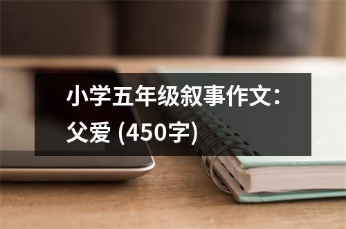 小學(xué)五年級敘事作文：父愛 (450字)