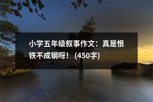 小學(xué)五年級(jí)敘事作文：真是恨鐵不成鋼呀！ (450字)