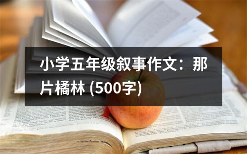 小學(xué)五年級(jí)敘事作文：那片橘林 (500字)