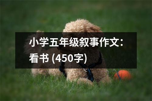 小學(xué)五年級(jí)敘事作文：看書 (450字)