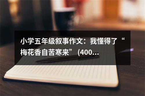 小學(xué)五年級敘事作文：我懂得了“梅花香自苦寒來” (400字)