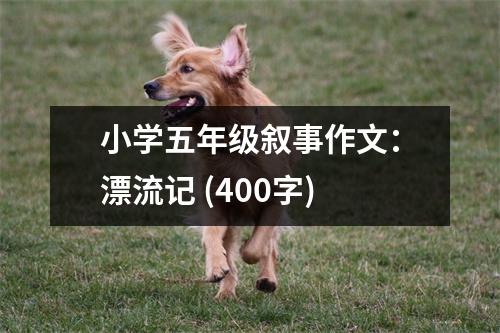 小學五年級敘事作文：漂流記 (400字)
