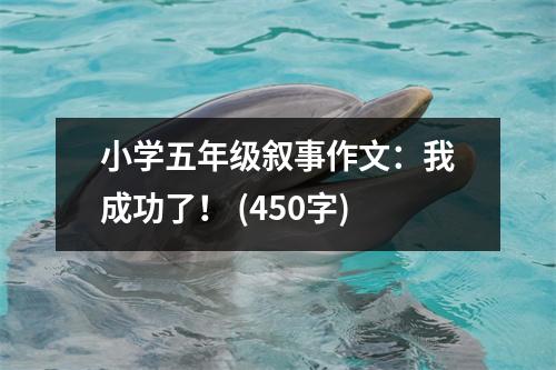 小學(xué)五年級(jí)敘事作文：我成功了！ (450字)