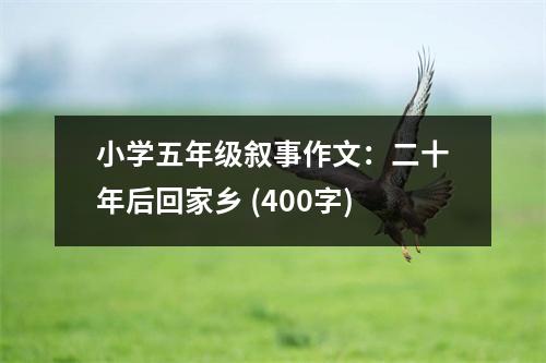 小學(xué)五年級敘事作文：二十年后回家鄉(xiāng) (400字)