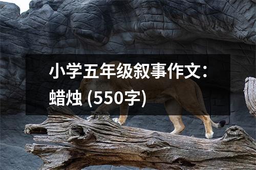 小學(xué)五年級敘事作文：蠟燭 (550字)