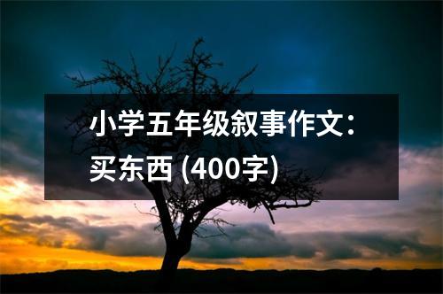 小學(xué)五年級敘事作文：買東西 (400字)