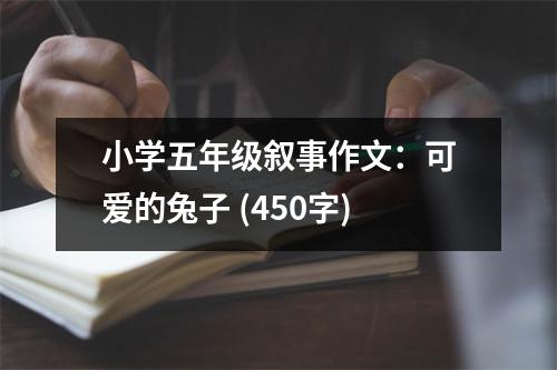 小學(xué)五年級(jí)敘事作文：可愛(ài)的兔子 (450字)