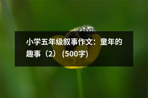 小學五年級敘事作文：童年的趣事（2） (500字)