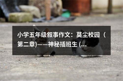 小學五年級敘事作文：莫塵校園（第二章)——神秘插班生 (550字)