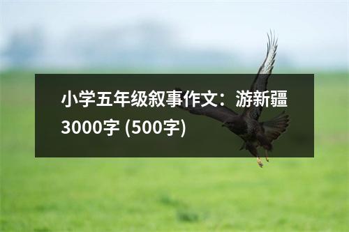 小學(xué)五年級敘事作文：游新疆3000字 (500字)
