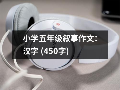 小學(xué)五年級敘事作文：漢字 (450字)