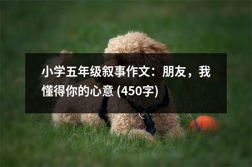 小學(xué)五年級敘事作文：朋友，我懂得你的心意 (450字)