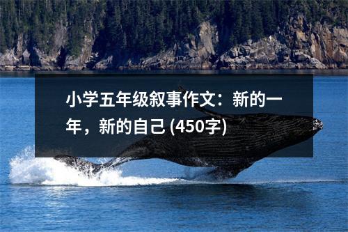 小學(xué)五年級敘事作文：新的一年，新的自己 (450字)
