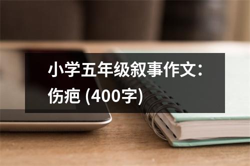 小學(xué)五年級敘事作文：傷疤 (400字)