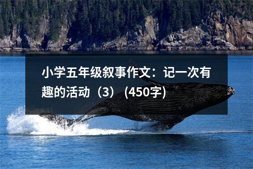 小學(xué)五年級敘事作文：記一次有趣的活動（3） (450字)
