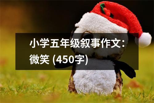 小學(xué)五年級(jí)敘事作文：微笑 (450字)