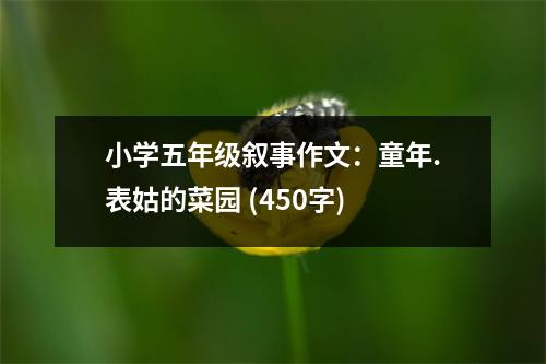 小學(xué)五年級(jí)敘事作文：童年.表姑的菜園 (450字)