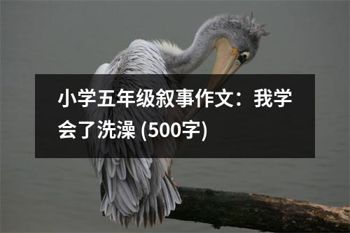 小學(xué)五年級敘事作文：我學(xué)會了洗澡 (500字)
