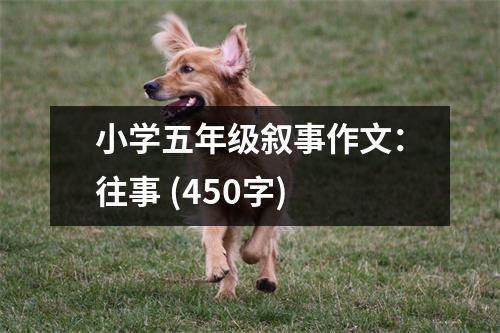 小學(xué)五年級敘事作文：往事 (450字)