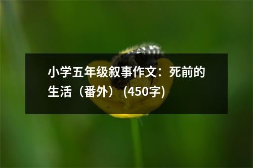 小學(xué)五年級敘事作文：死前的生活（番外） (450字)