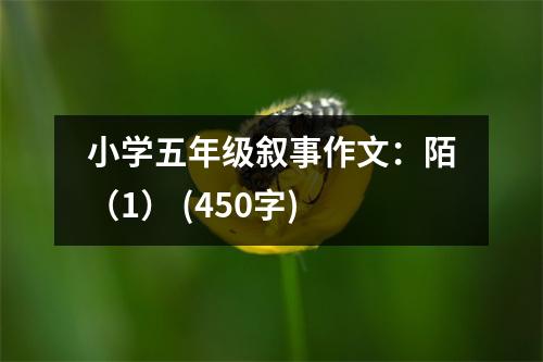 小學五年級敘事作文：陌（1） (450字)