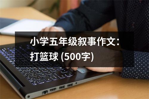 小學五年級敘事作文：打籃球 (500字)