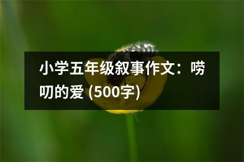 小學五年級敘事作文：嘮叨的愛 (500字)