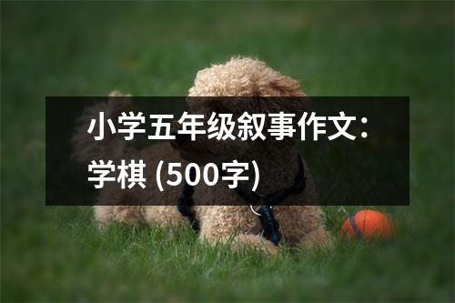 小學(xué)五年級敘事作文：學(xué)棋 (500字)