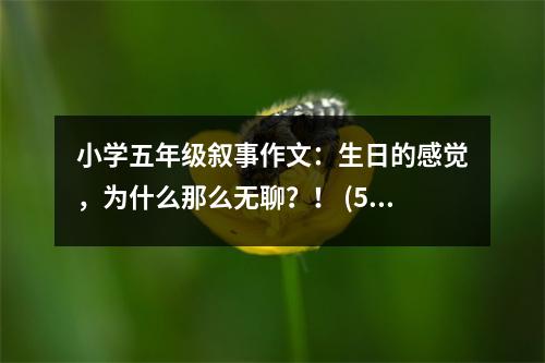 小學(xué)五年級敘事作文：生日的感覺，為什么那么無聊？！ (500字)