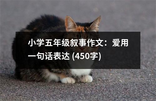 小學(xué)五年級敘事作文：愛用一句話表達(dá) (450字)