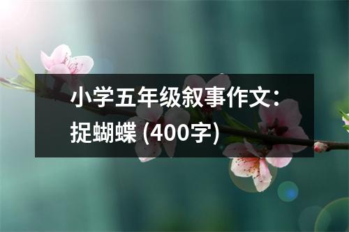 小學五年級敘事作文：捉蝴蝶 (400字)