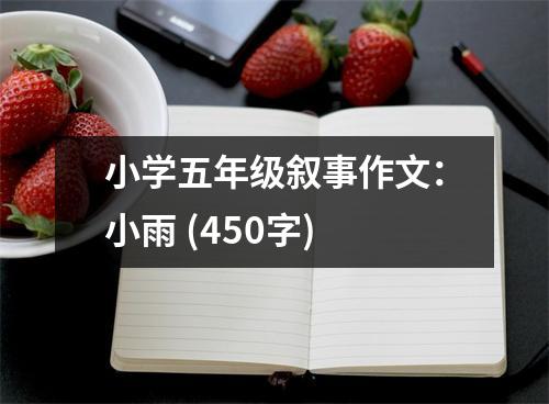 小學五年級敘事作文：小雨 (450字)