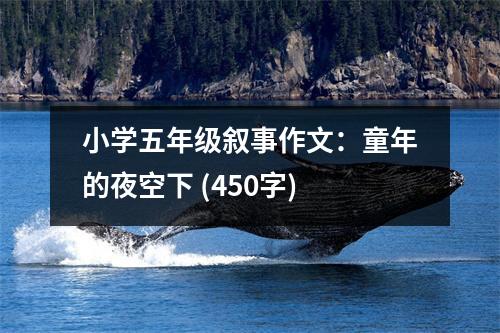 小學五年級敘事作文：童年的夜空下 (450字)