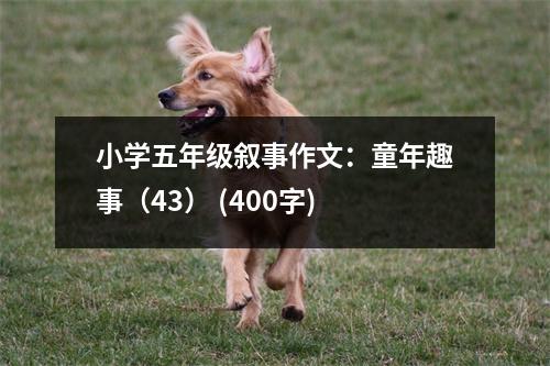 小學五年級敘事作文：童年趣事（43） (400字)
