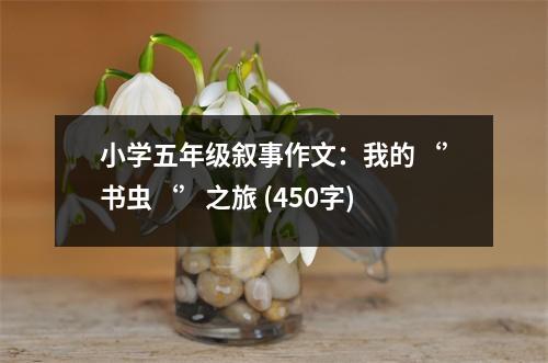 小學五年級敘事作文：我的‘’書蟲‘’之旅 (450字)