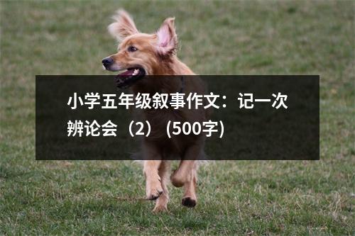 小學五年級敘事作文：記一次辨論會（2） (500字)