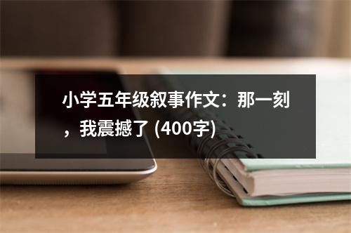 小學(xué)五年級敘事作文：那一刻，我震撼了 (400字)